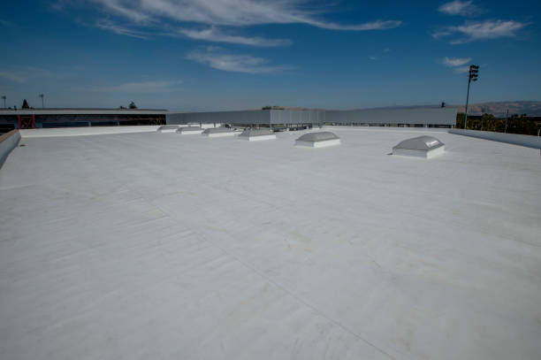 Best Roof Insulation Installation  in USA